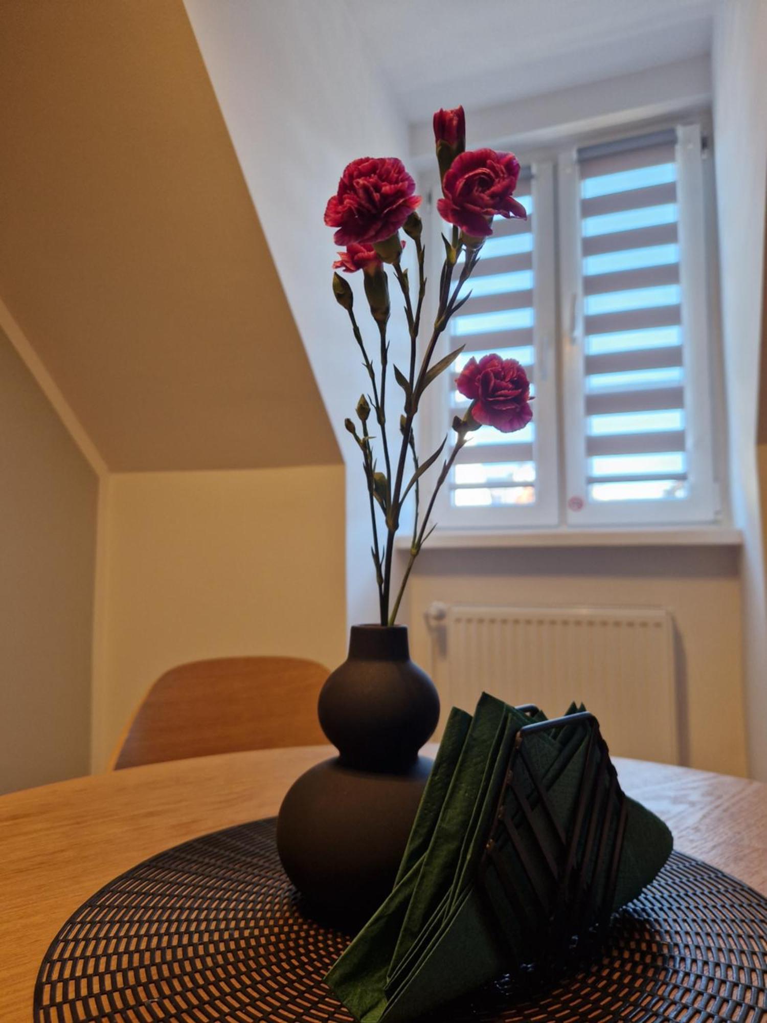 Apartament Rabianska 14 Stary Toruń Exteriér fotografie